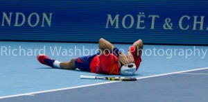 Barclays ATP World Tour Singles Finals 2013