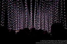 Kew Gardens Light Walk 31st December 2016 Images taken by Richard Washbrooke Photography